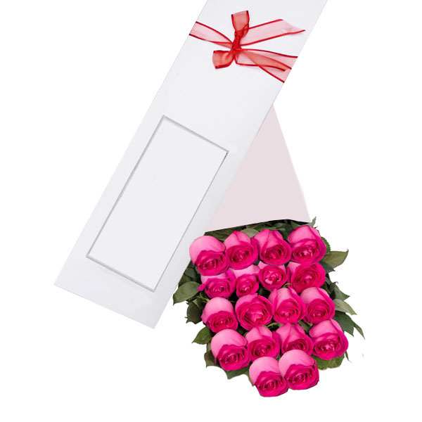 Caja de 18 Rosas Fucsias